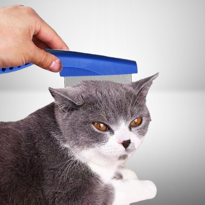 Brosse Chat - CatSheddingHairComb™ - Bleu