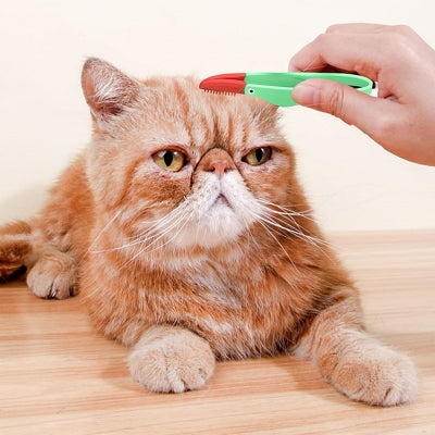 Brosse Pour Chat - CatEyeCleaningBrush™ - Vert