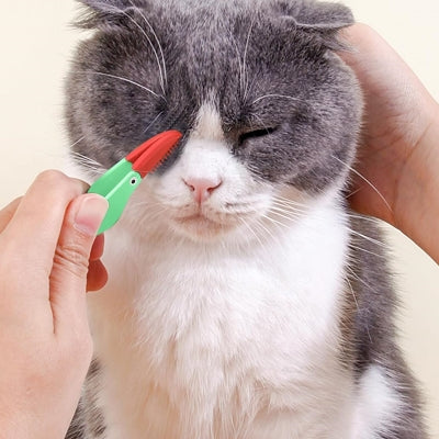 Brosse Pour Chat - CatEyeCleaningBrush™ - Vert