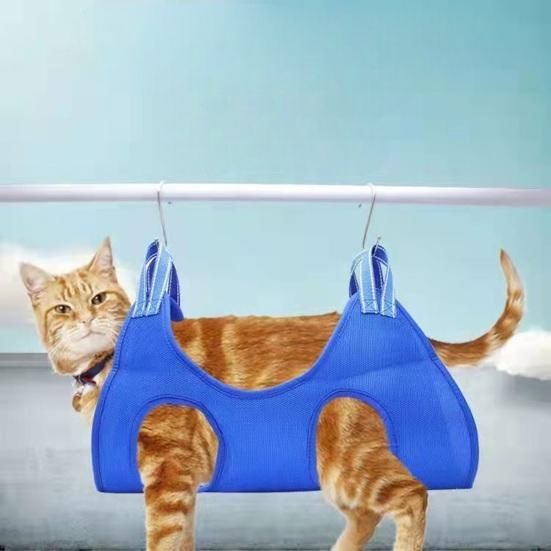 Toilettage Chat - GroomHamac™ - Bleu