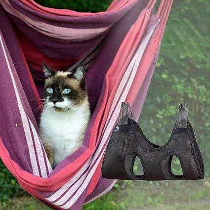 Toilettage Chat - GroomHamac™ - Gris