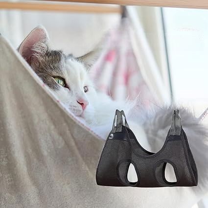 Toilettage Chat - GroomHamac™ - Gris