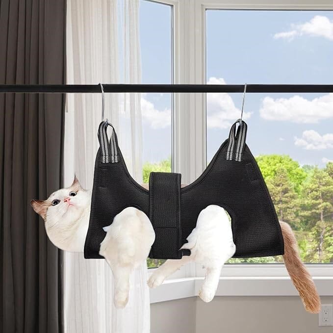 Toilettage Chat - GroomHamac™ - Noir