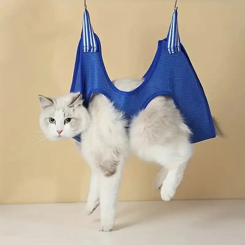 Toilettage Chat - GroomHamac™ - Bleu