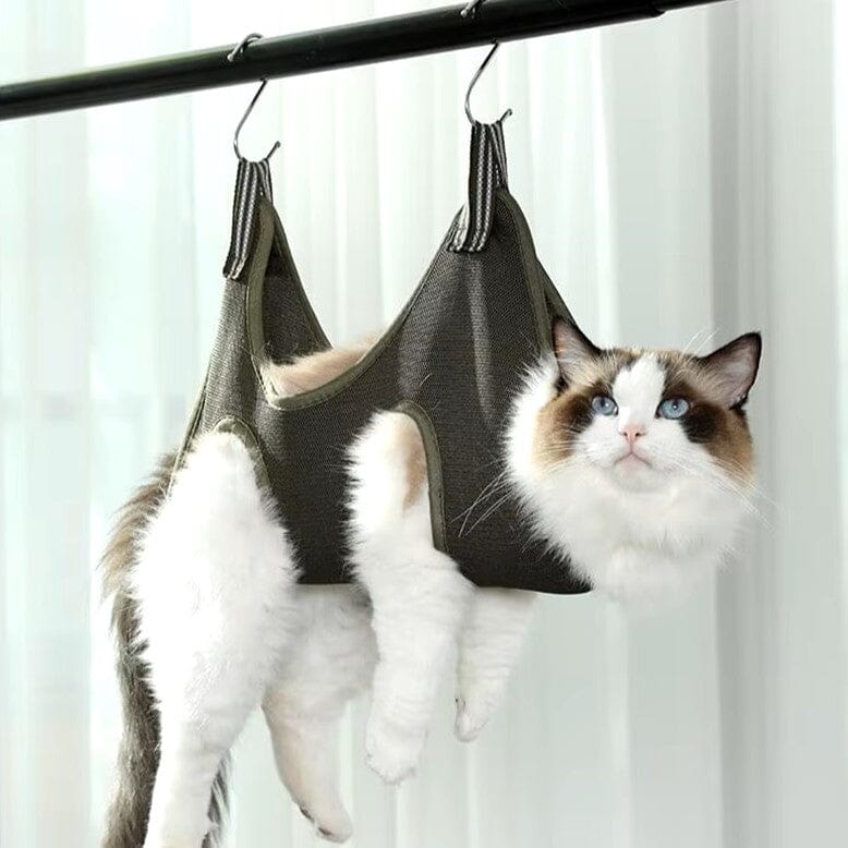 Toilettage Chat - GroomHamac™ - Gris