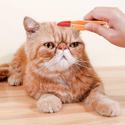 Brosse Pour Chat - CatEyeCleaningBrush™ - Orange